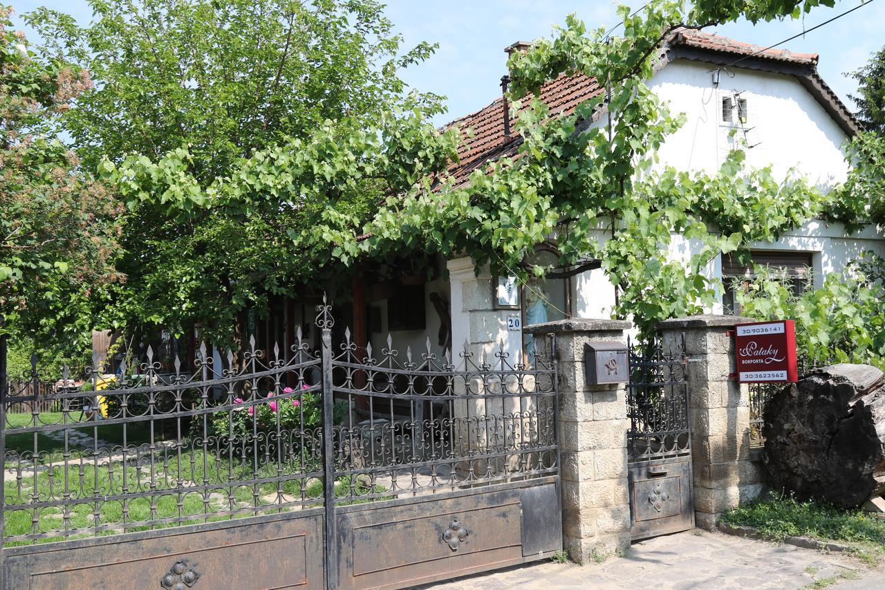Pataky Borporta Tarcal Exterior foto