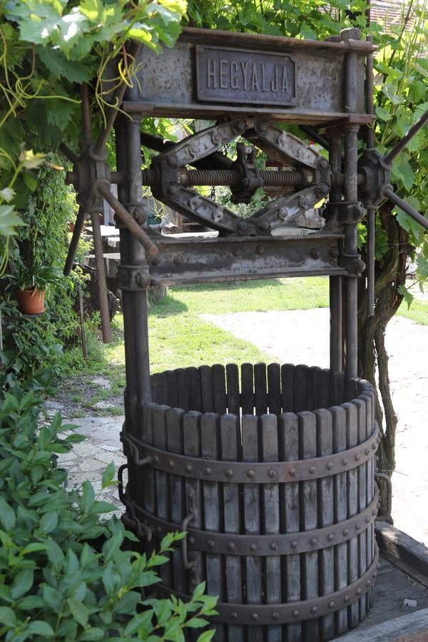 Pataky Borporta Tarcal Exterior foto